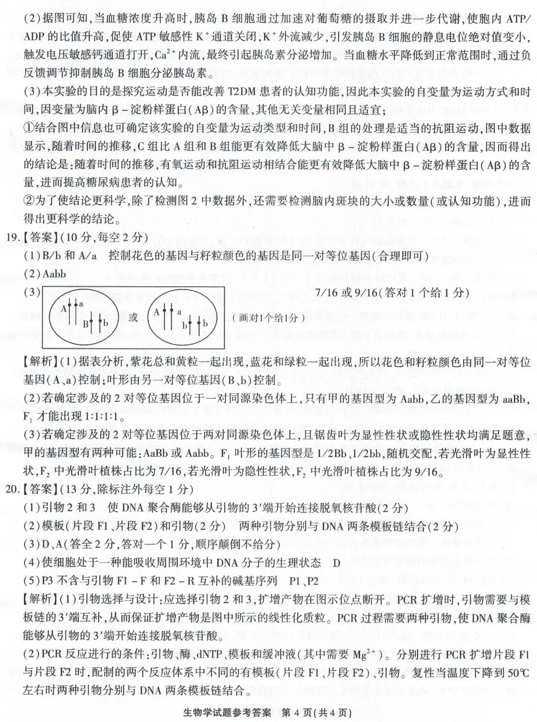 江淮十校2026届高三4月模拟考试生物学试题(卷后附答案) 第12张