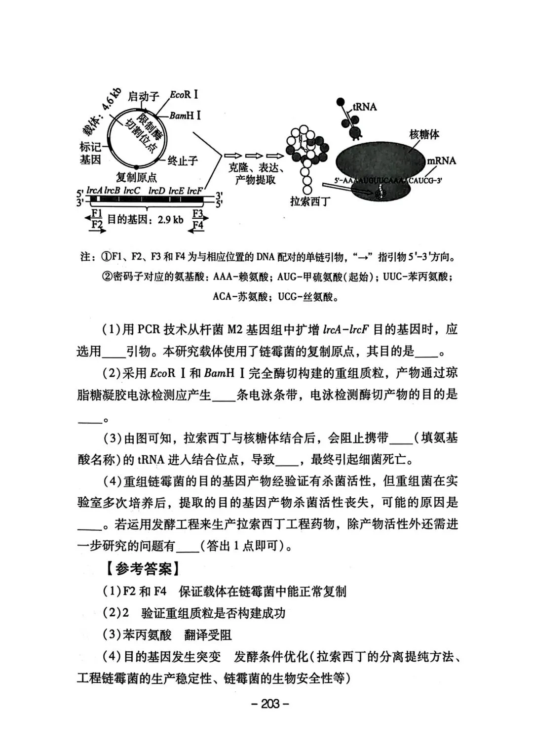 2025年四川高考真题官方解析 第34张