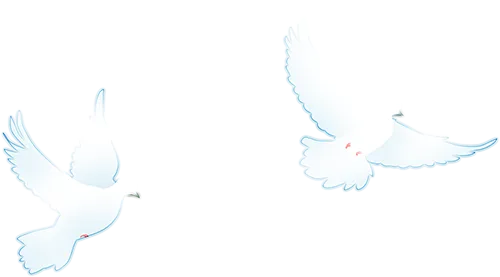 汇聚教研智慧,精准备战中考——湖北荆楚初中联盟2026年中考复习研讨会在应城市科技高级中学成功举办 第2张