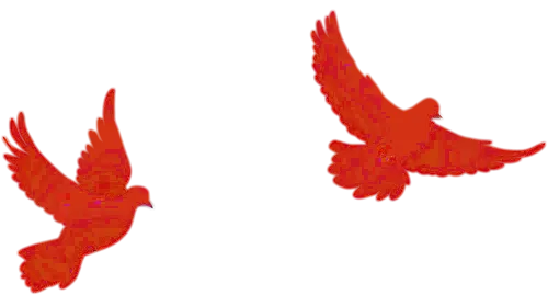 汇聚教研智慧,精准备战中考——湖北荆楚初中联盟2026年中考复习研讨会在应城市科技高级中学成功举办 第17张