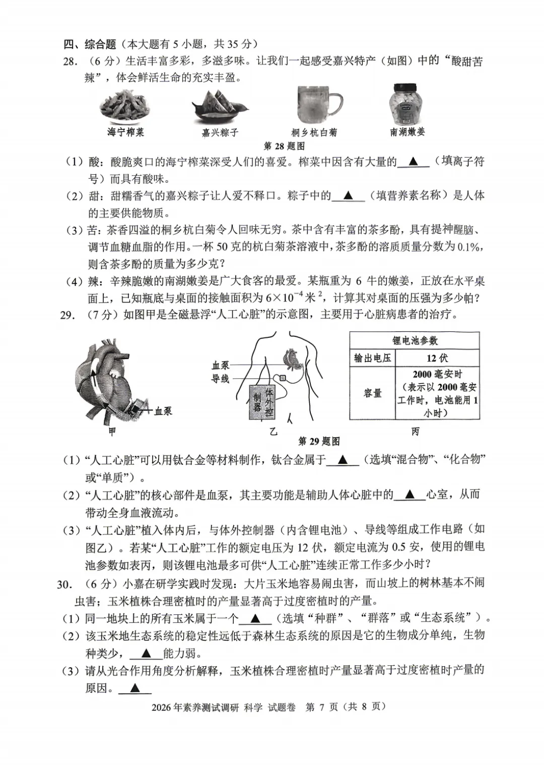 2026年4月浙江省嘉兴市中考一模全科试卷和答案,含英语听力音频,无水印免费下载 第40张