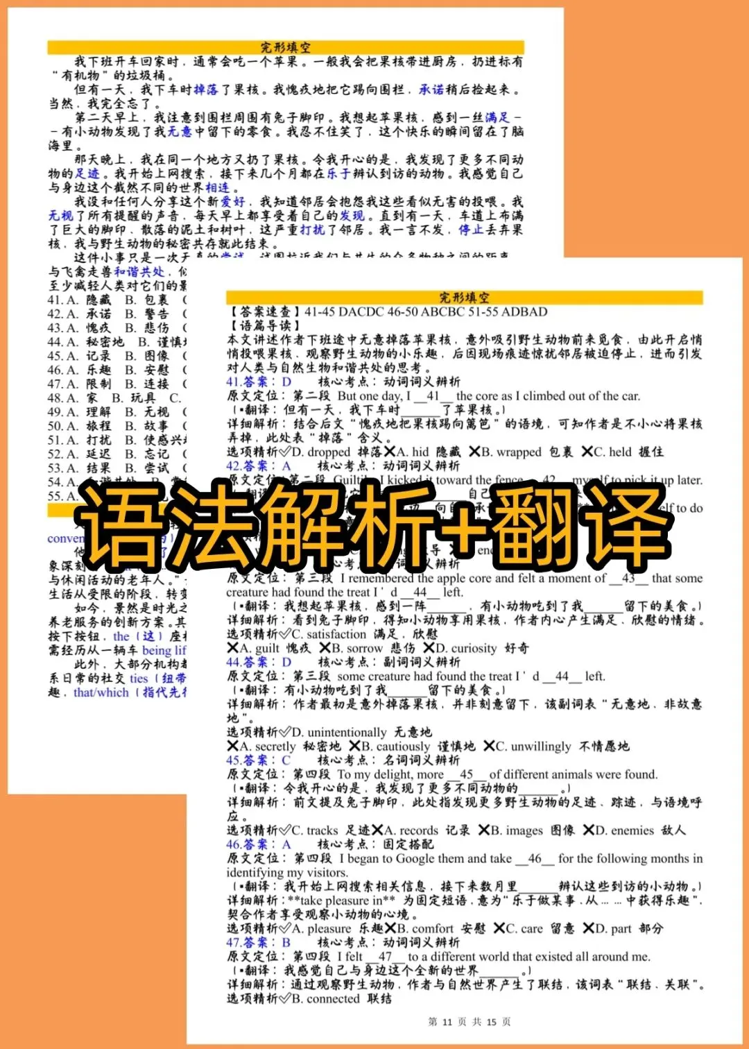 26宁波二模英语试卷全卷翻译+详细答案解析含词汇积累听力音频原文 第27张