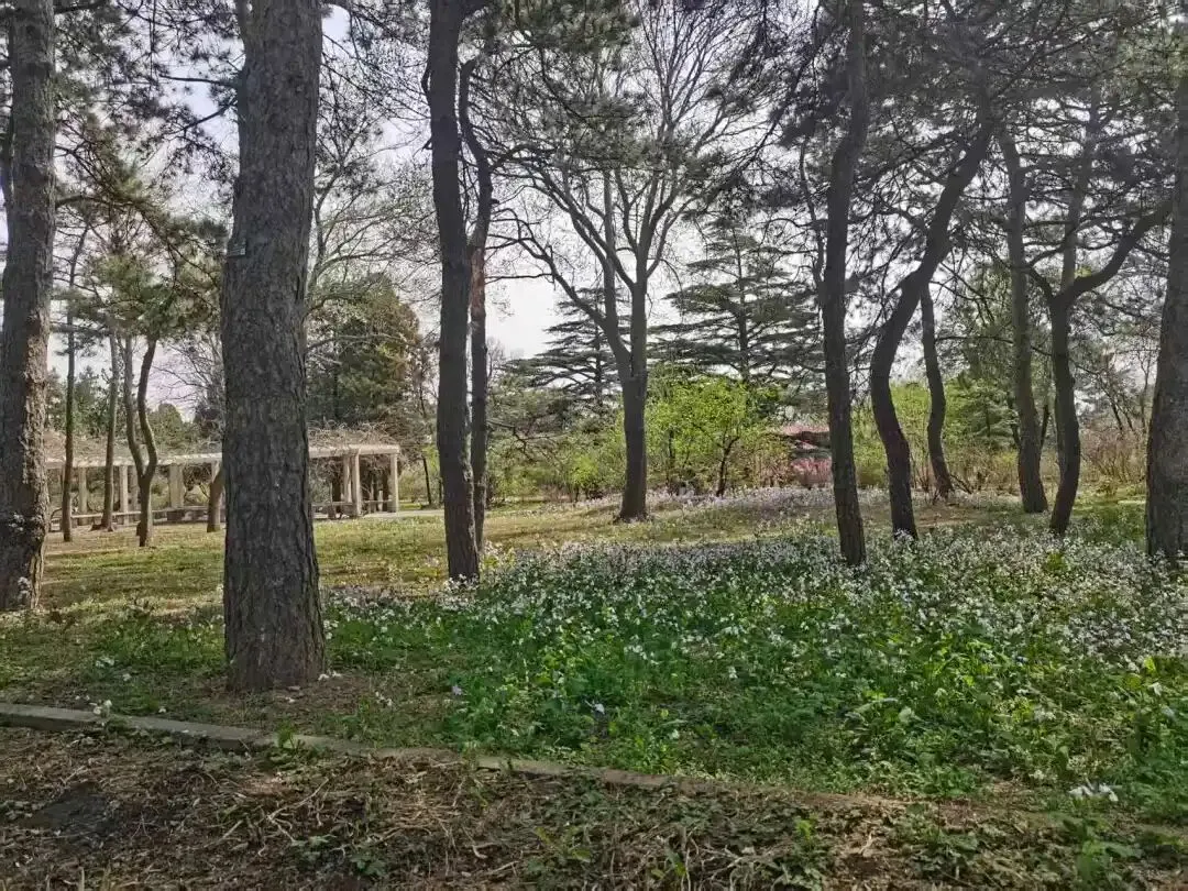 中考复习教材梳理——议论性文文本阅读 第1张