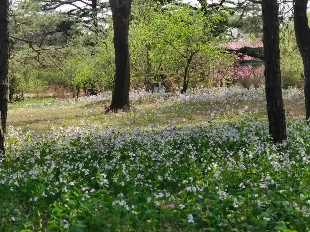 中考复习教材梳理——议论性文文本阅读 第2张