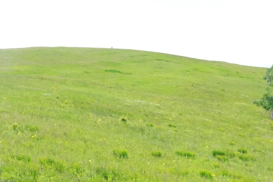 中考复习教材梳理——议论性文文本阅读 第3张