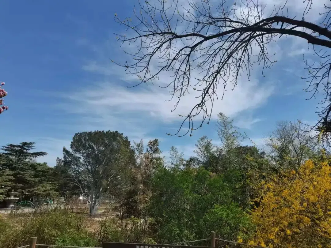 中考复习教材梳理——议论性文文本阅读 第5张