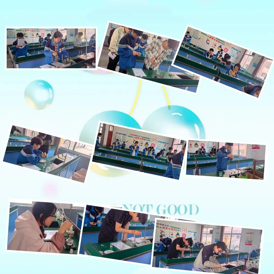 中考理化生实验练习回顾,“育”见孩子们的别样成长 第6张