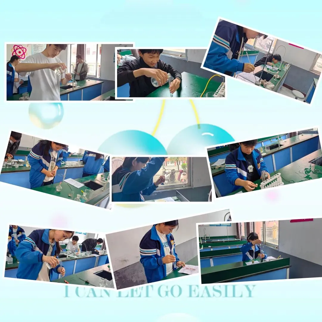 中考理化生实验练习回顾,“育”见孩子们的别样成长 第8张