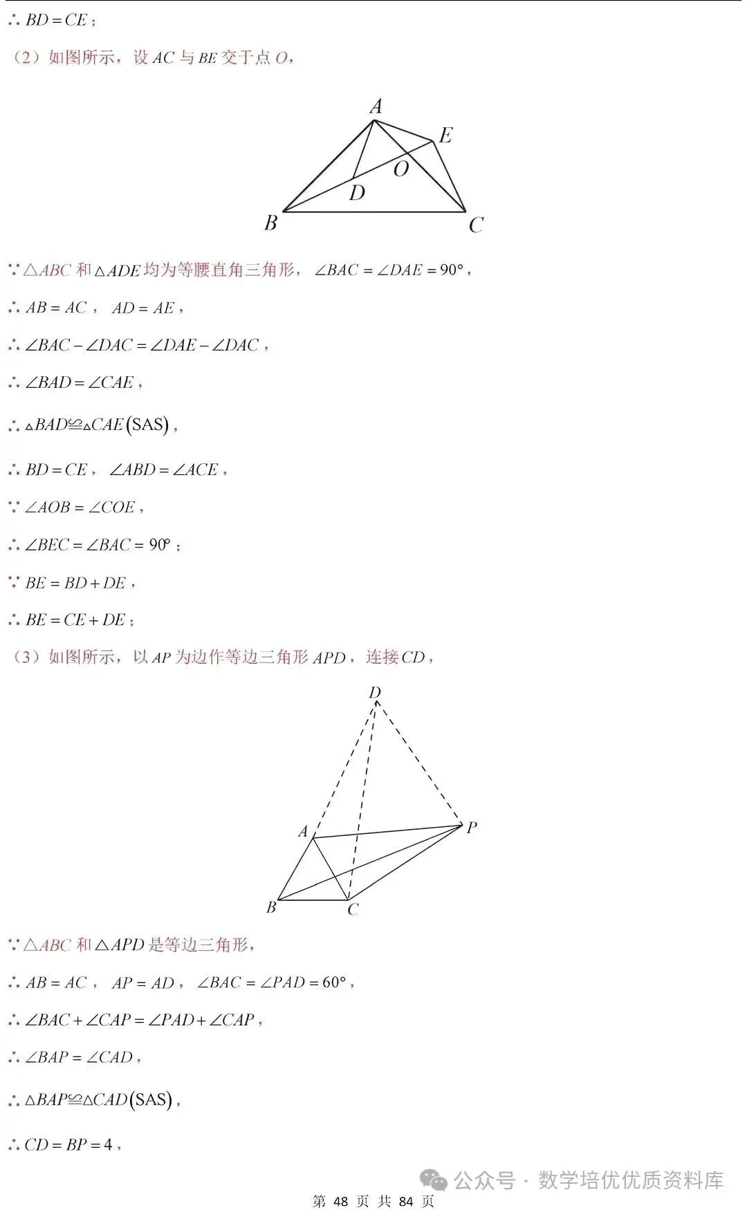 中考数学专题复习之全等三角形与特殊三角形6种考向20种必考题型(共84页,含答案解析) 第49张