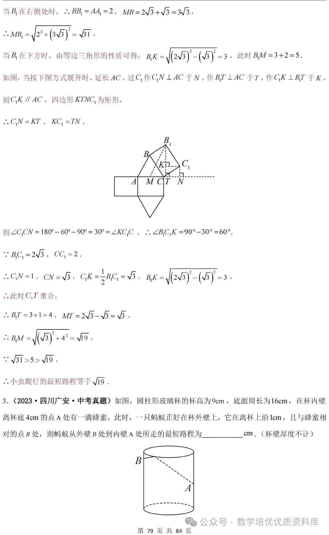 中考数学专题复习之全等三角形与特殊三角形6种考向20种必考题型(共84页,含答案解析) 第81张