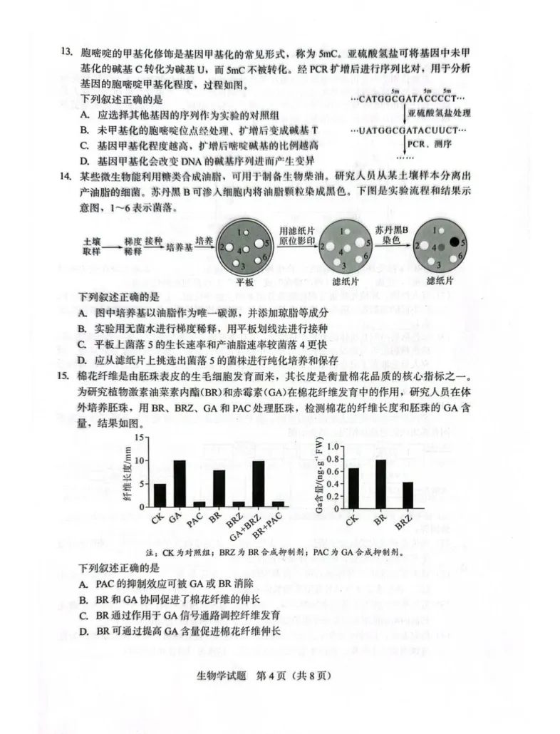 【厦门市2026届高中毕业班模拟测试 生物 第5张
