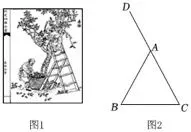 中考一模数学卷(文末附下载链接) 第31张