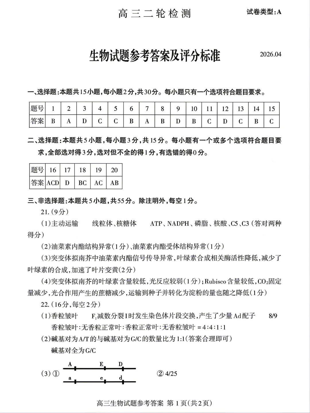 26届山东高三【泰安二模】全科试卷及答案 第9张