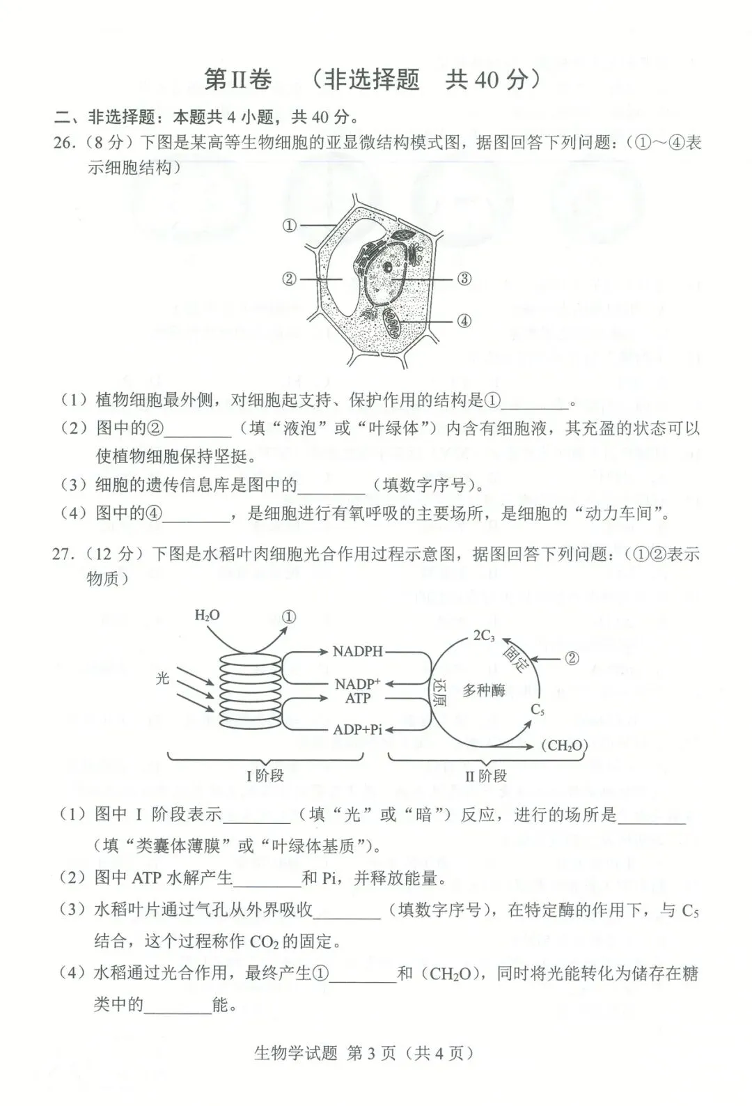 2025年吉林省合格考(学考)生物学试卷及答案解析 第3张