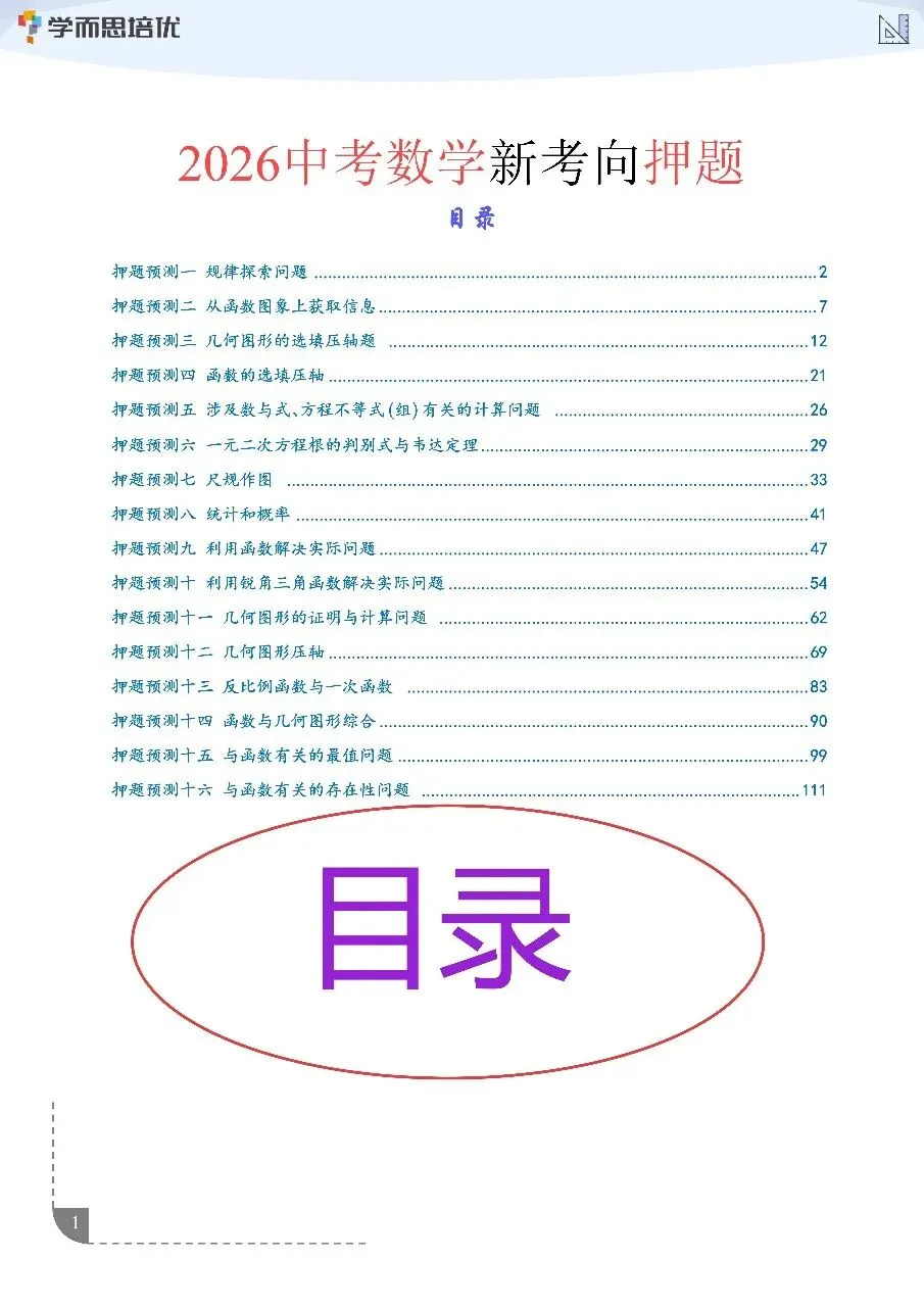 2026中考数学新考向必考16类押题 第2张