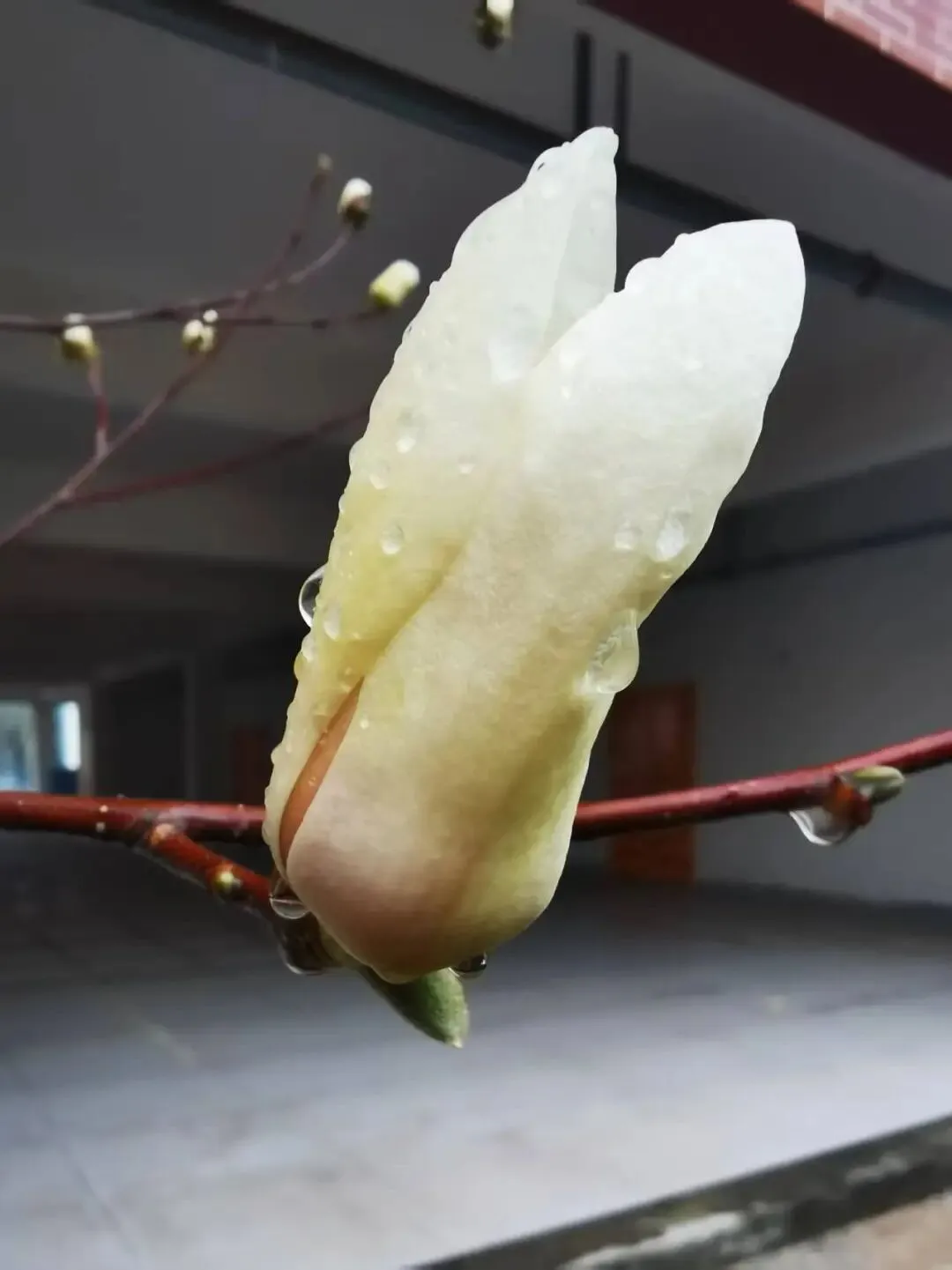 高考倒计49天:循真题问道,返教材固本(总1239期) 第14张