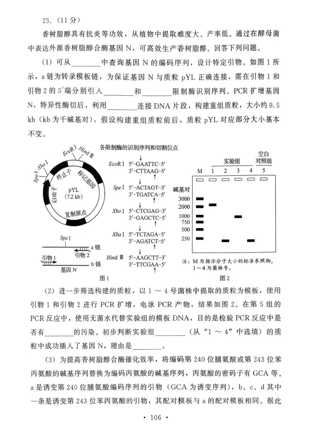 【高考真题官方答案系列】--2025年黑吉辽蒙卷 第36张