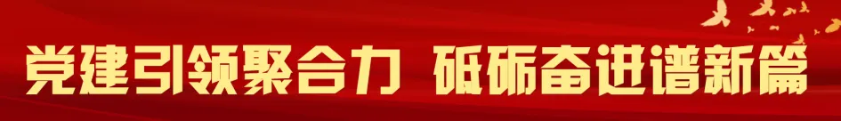 【教师发展】以研促教备中考 深耕课堂提质效 第1张
