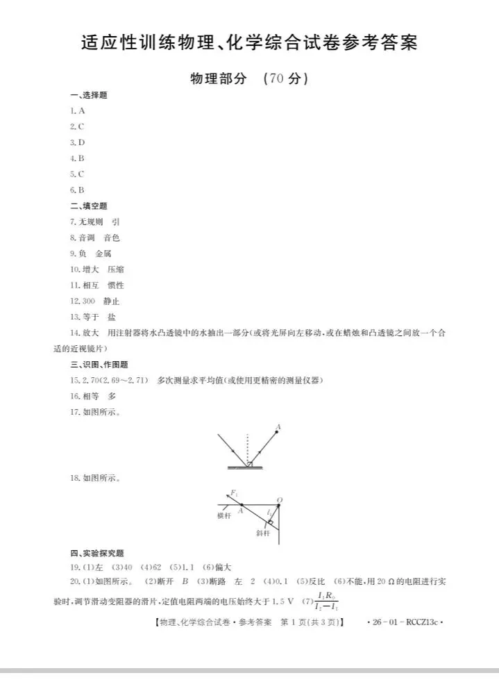 2026年第一次中考物理适应性训练试卷 第5张