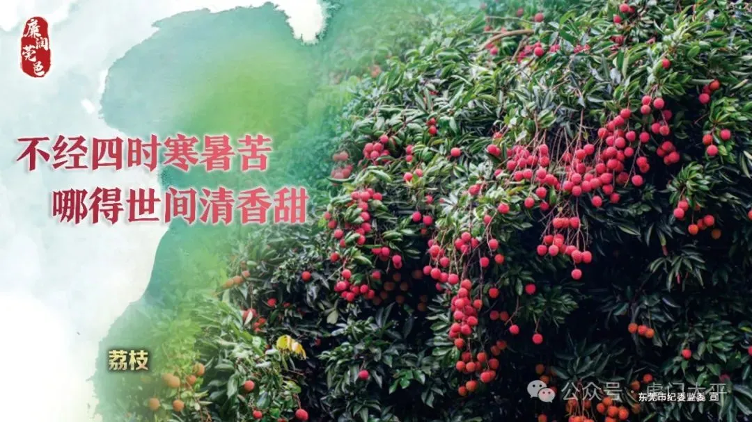 最新!东莞2026年中考政策发布 第12张