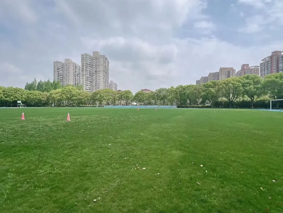 2026年三公决战日,真题考情大总结! 第13张