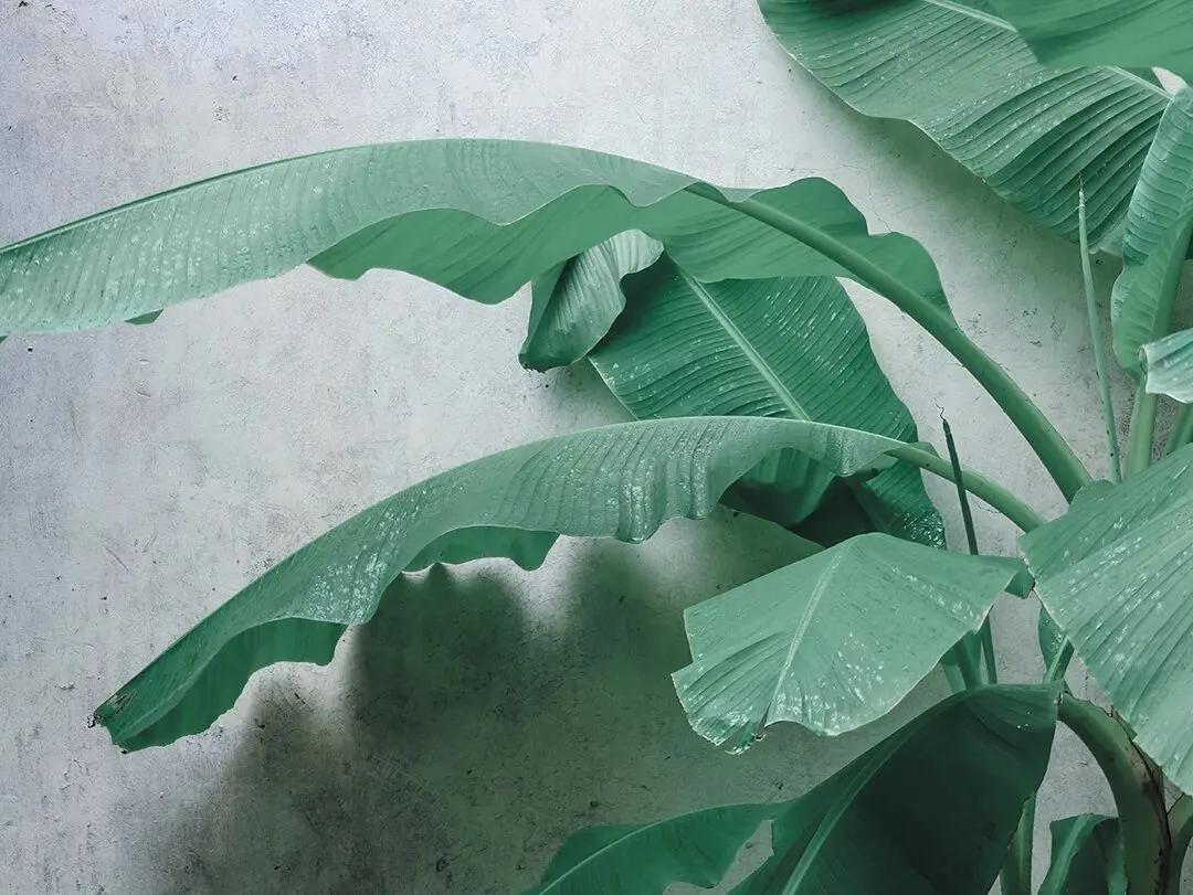 2026年广西师范大学文学考研真题(634+838) 第1张