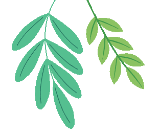 【先锋初中】同心筑梦迎中考 家校共育暖征程 ——先锋初中家长夜校为家庭赋能 第2张