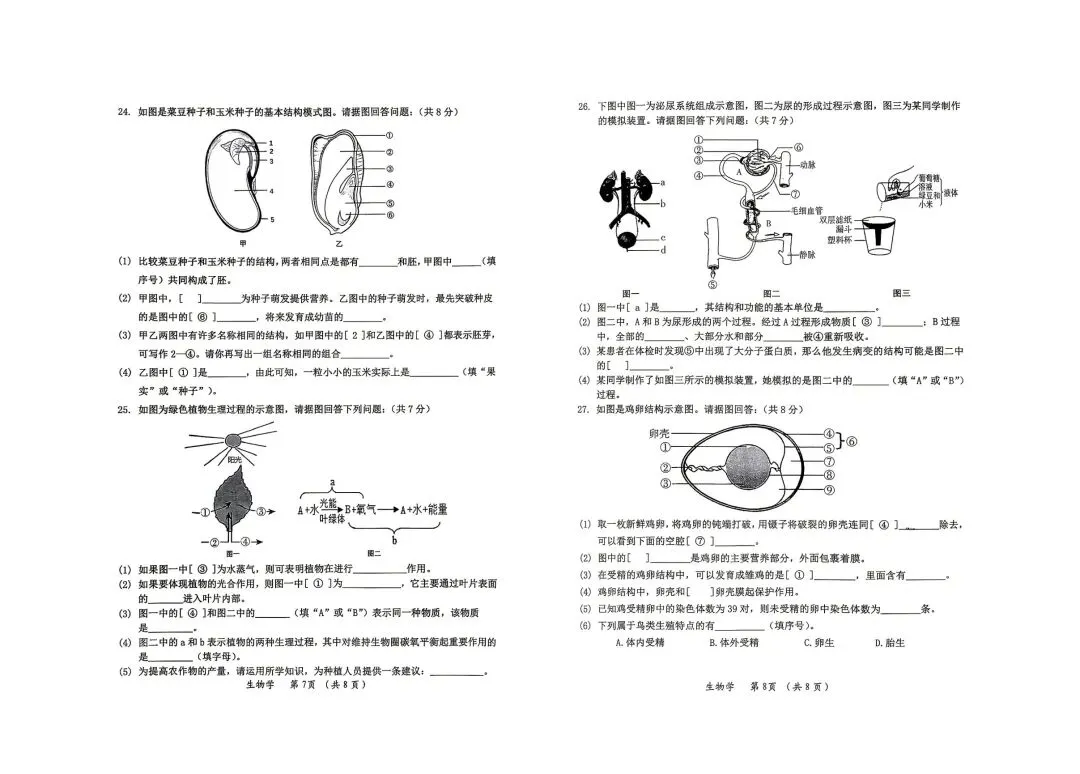 2026年齐齐哈尔中考一模生地试卷及参考答案 第8张