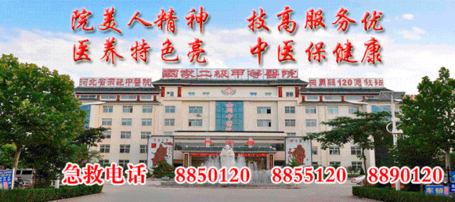 墨香传情 圆梦中考 第13张