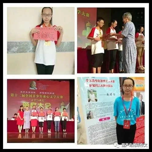 葫芦岛博洋作文||中考阅读理解《玉白菜》作者:李世营 第3张