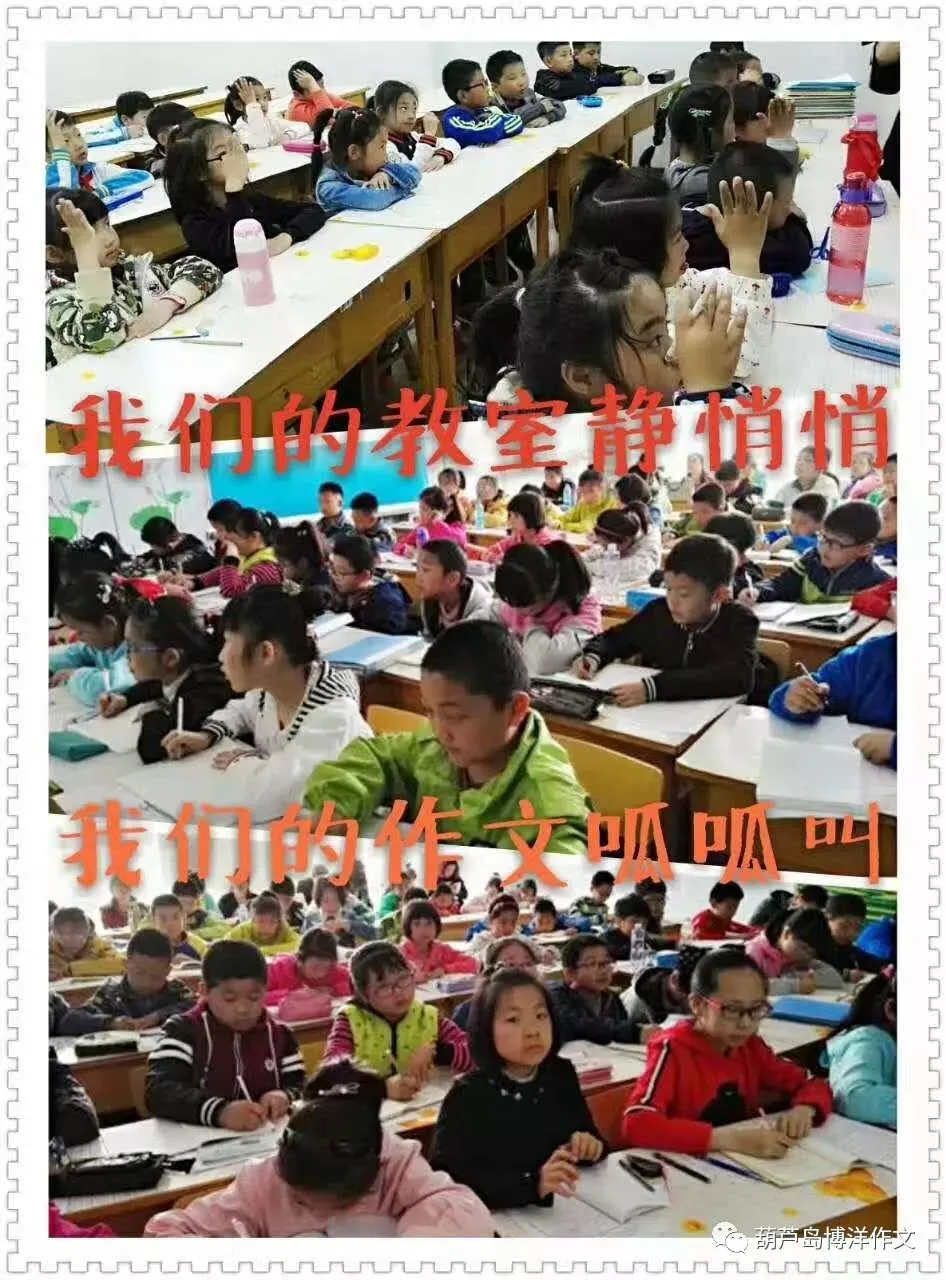 葫芦岛博洋作文||中考阅读理解《玉白菜》作者:李世营 第4张