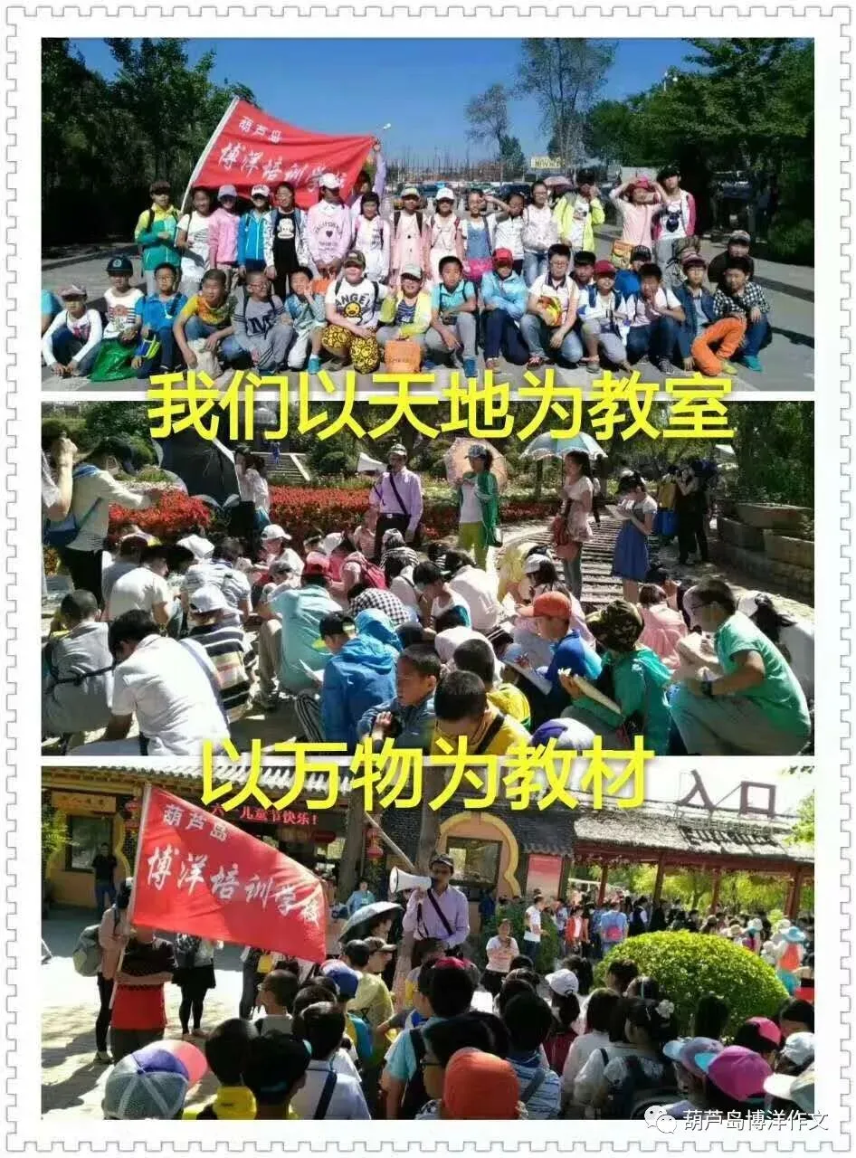 葫芦岛博洋作文||中考阅读理解《玉白菜》作者:李世营 第5张