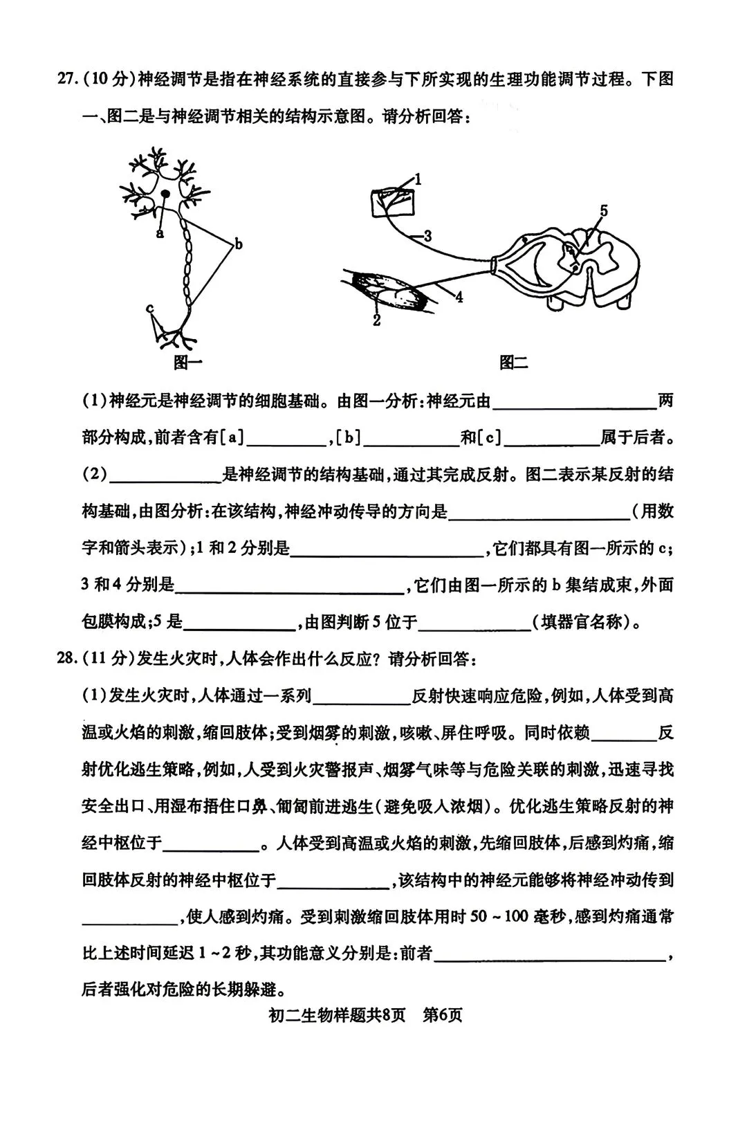 2025年泰山区七下期中生物真题 第6张