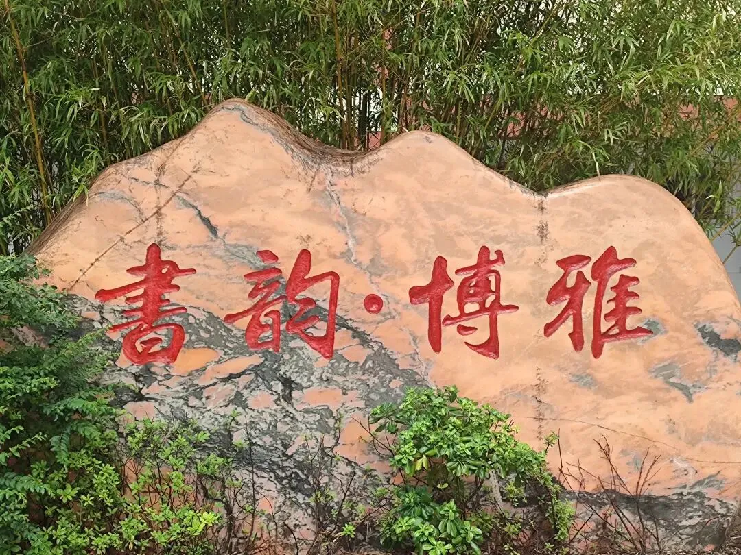 出发吧,向着更璀璨的远方!明湖学校召开中考动员暨防溺水安全教育会 第12张