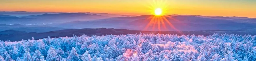 中考改革惠及嘉荫 给每名孩子就学机会 第2张