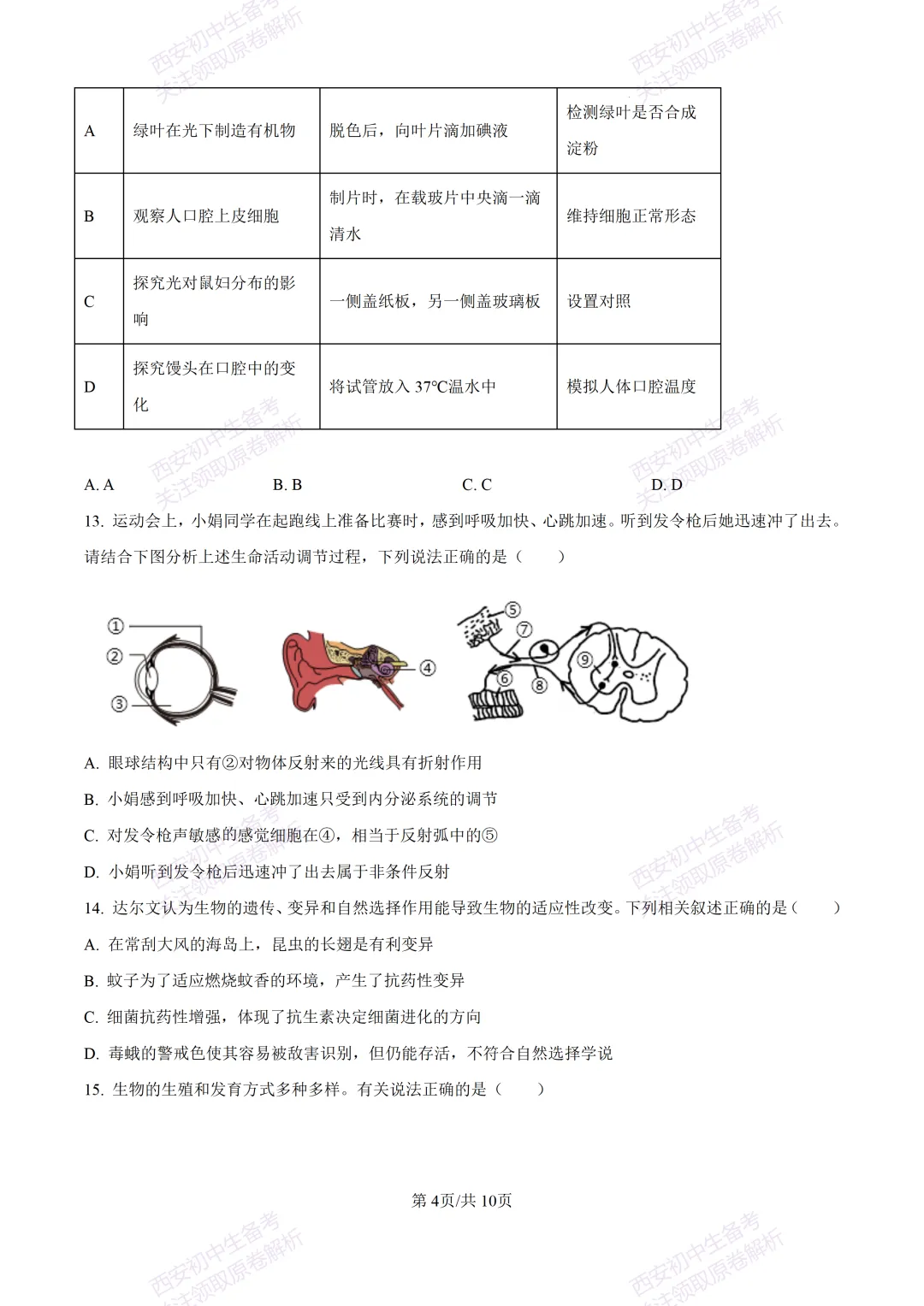 期中复习,名校真题!西安初中期中:【24-25滨河学校】八下期中考试【生物】免费下载! 第10张
