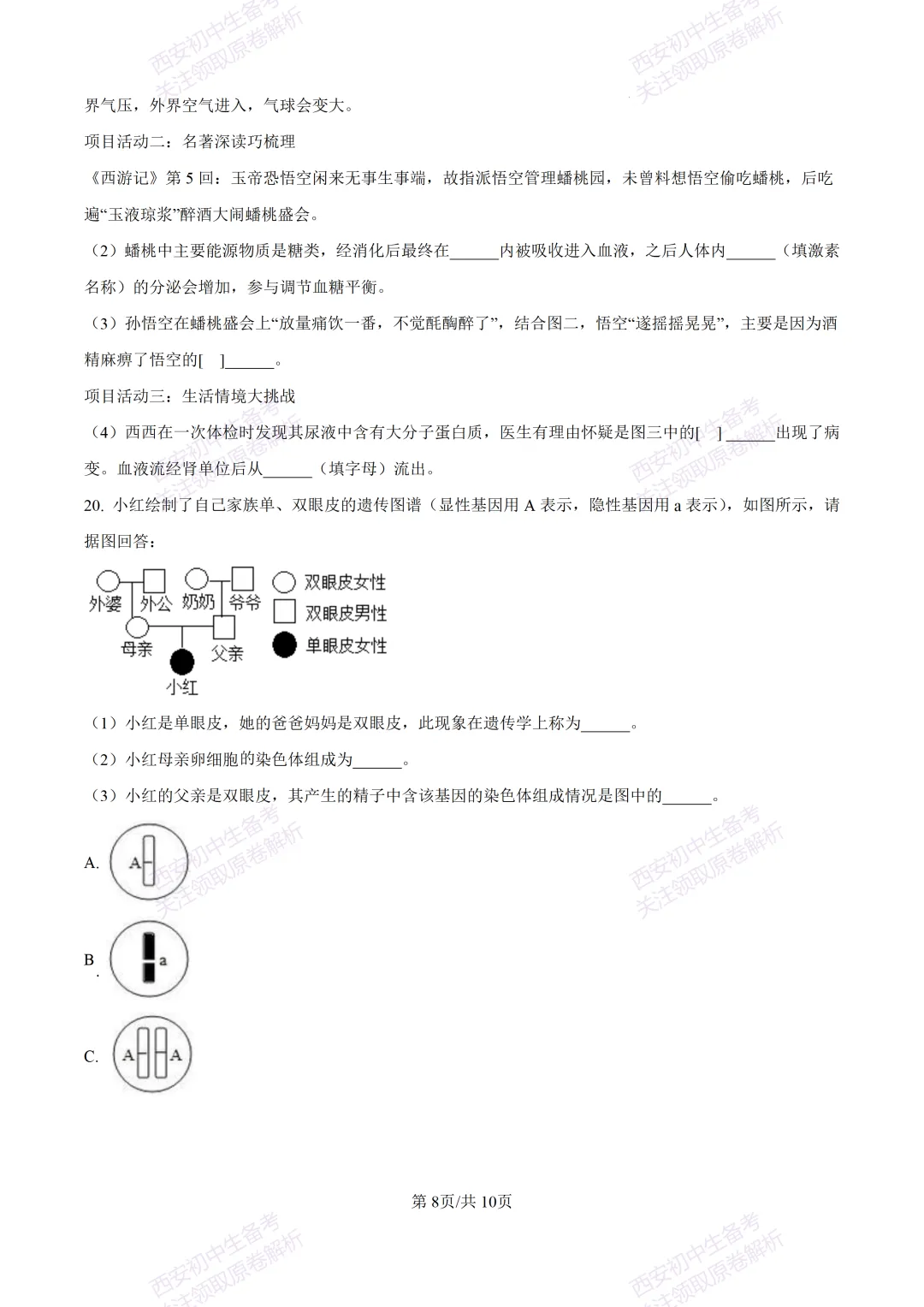 期中复习,名校真题!西安初中期中:【24-25滨河学校】八下期中考试【生物】免费下载! 第14张