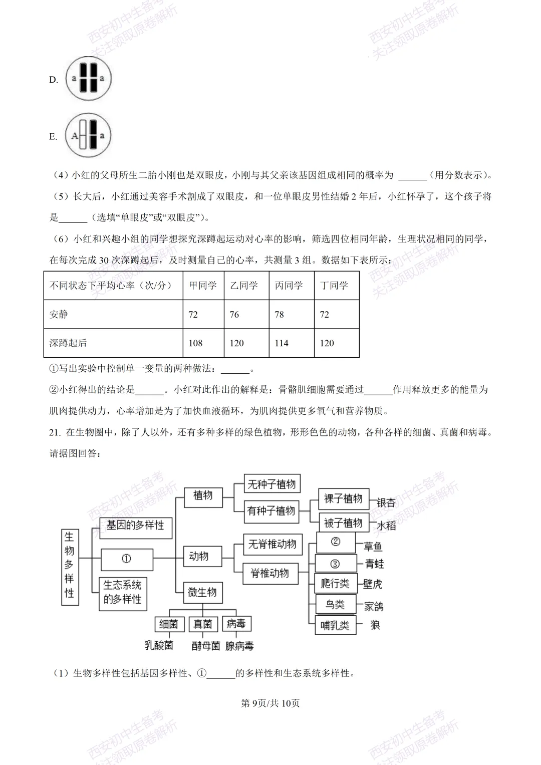 期中复习,名校真题!西安初中期中:【24-25滨河学校】八下期中考试【生物】免费下载! 第15张