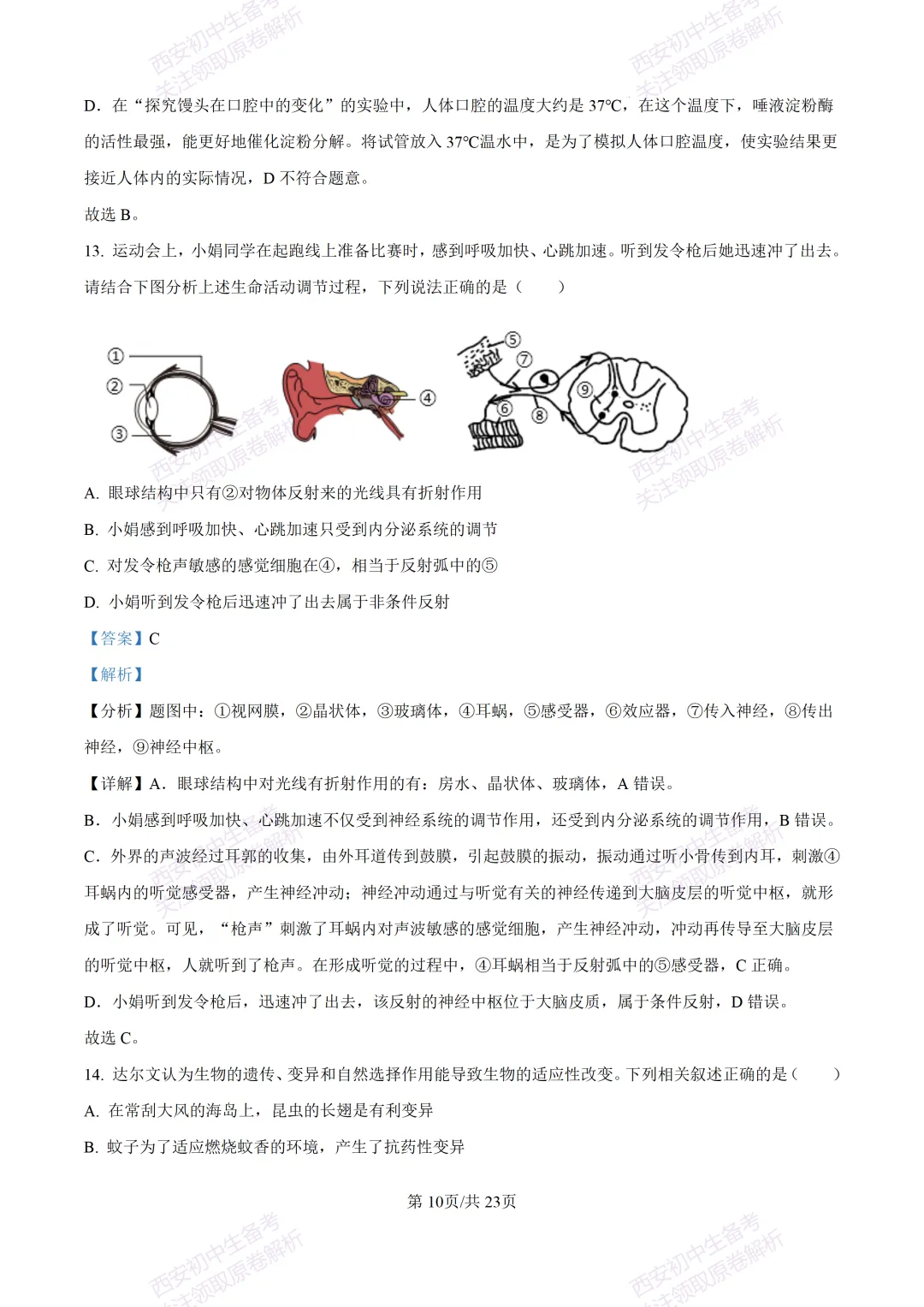 期中复习,名校真题!西安初中期中:【24-25滨河学校】八下期中考试【生物】免费下载! 第27张