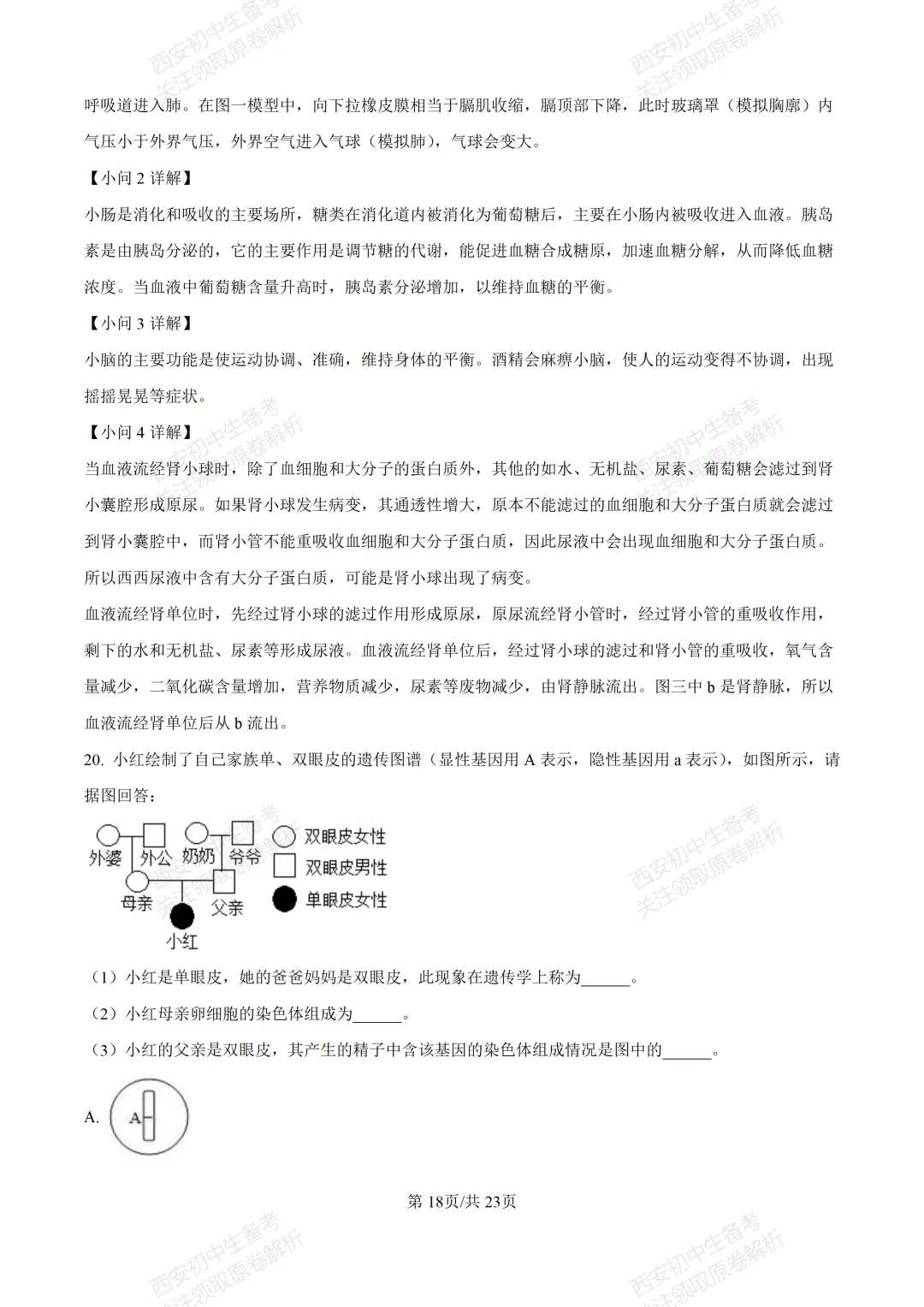 期中复习,名校真题!西安初中期中:【24-25滨河学校】八下期中考试【生物】免费下载! 第35张