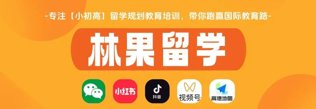 中考后转轨国际学校,真的来得及吗?这届家长正在打破“一考定终身” 第1张