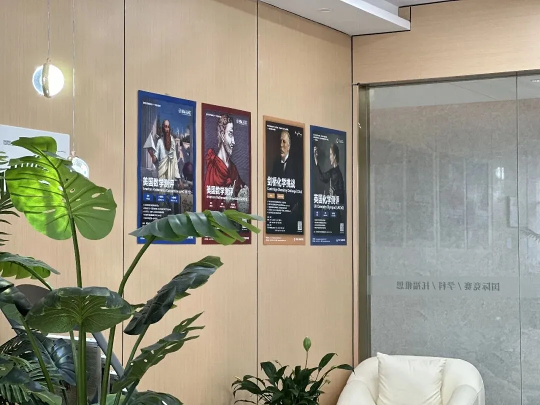 中考后转轨国际学校,真的来得及吗?这届家长正在打破“一考定终身” 第3张