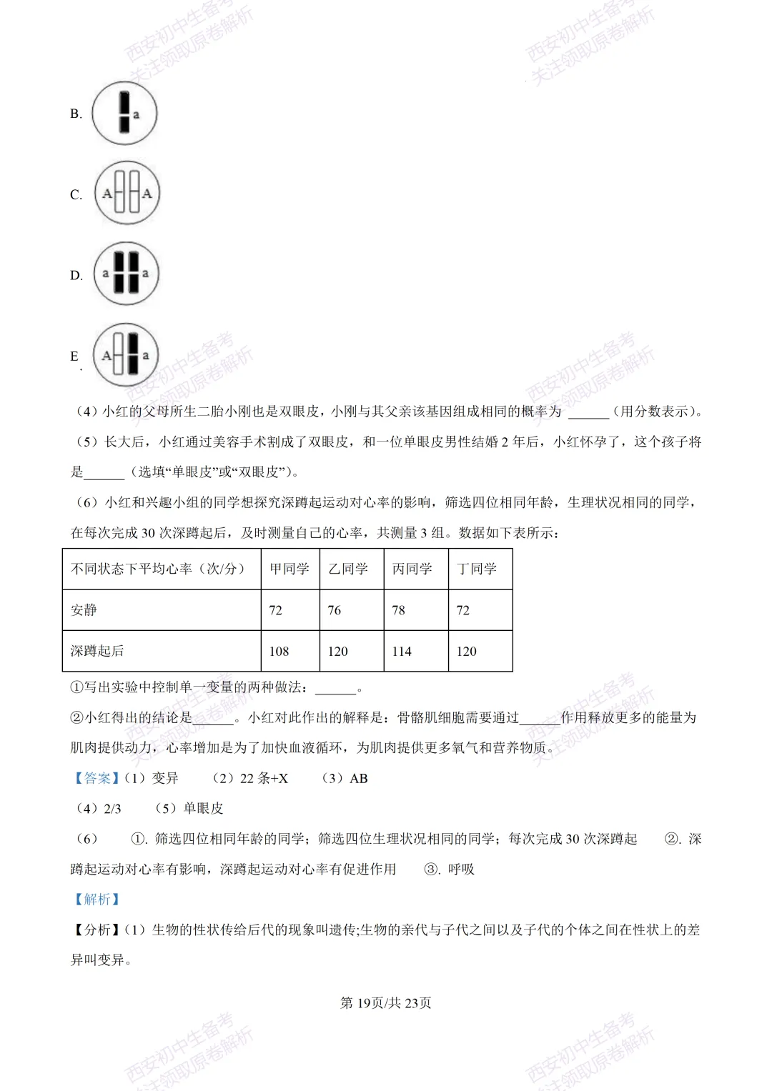 期中复习,名校真题!西安初中期中:【24-25滨河学校】八下期中考试【生物】免费下载! 第36张