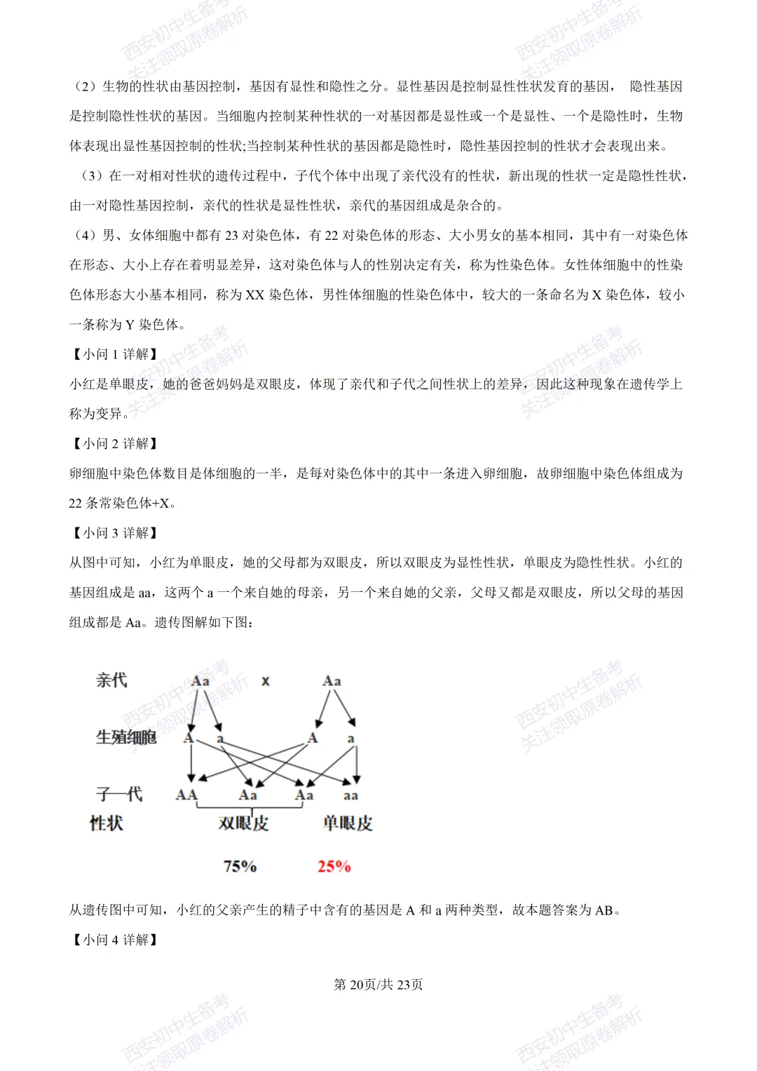 期中复习,名校真题!西安初中期中:【24-25滨河学校】八下期中考试【生物】免费下载! 第37张