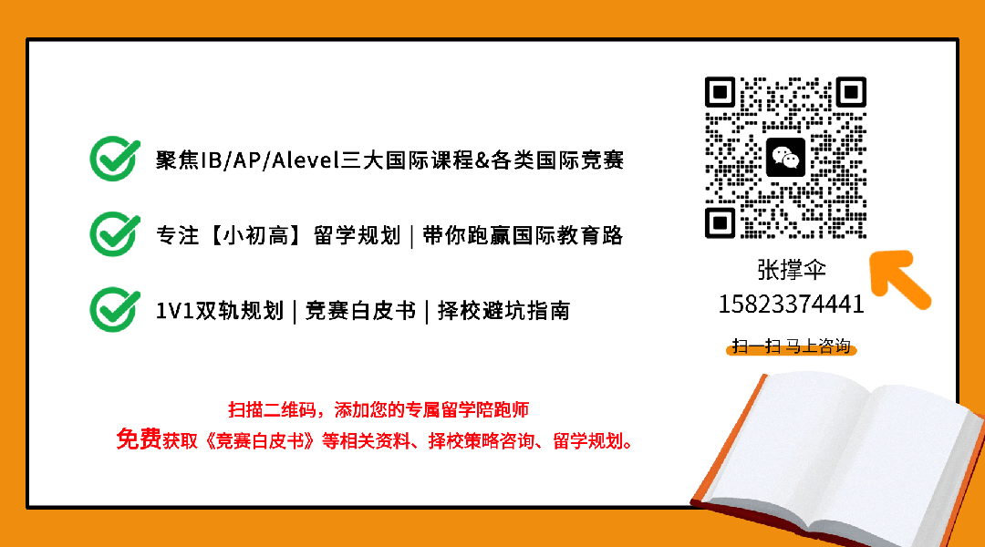 中考后转轨国际学校,真的来得及吗?这届家长正在打破“一考定终身” 第8张