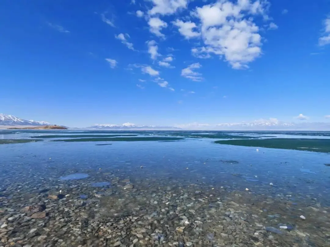 从近三年真题看2026高考理解性默写篇目及难写易错字整理 第3张