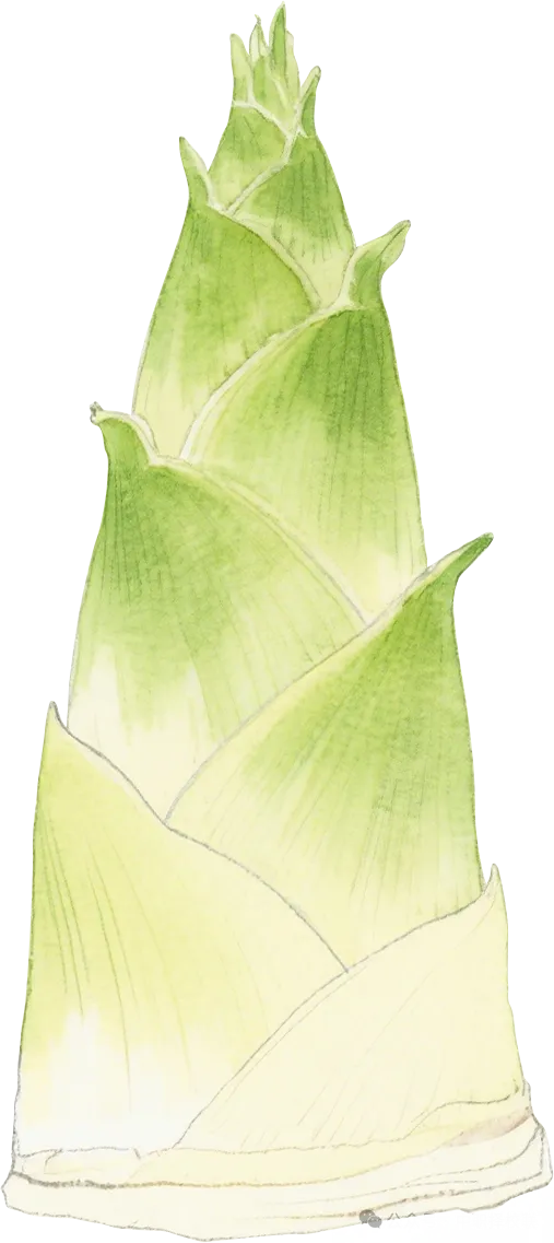 2026年广州中考,公办三二分段名单出炉!附招生计划、往年录取分数线! 第36张