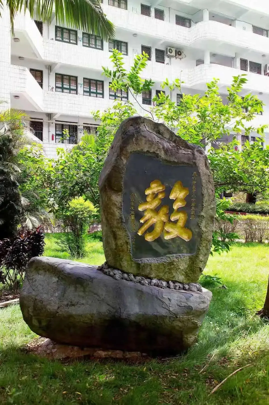 700分率33%!优生进中考前十!这所学校洗牌鲤城公办格局! 第30张