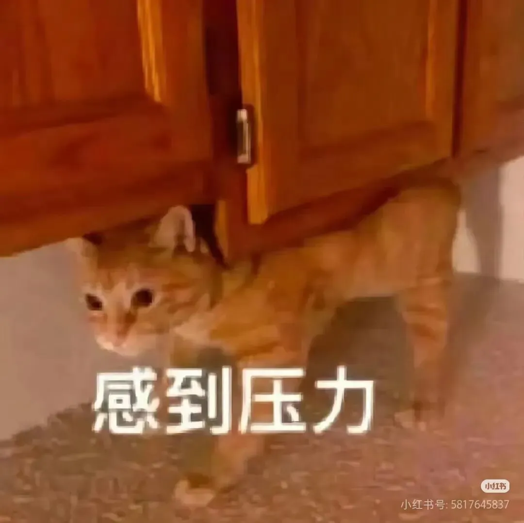 27考深大别乱学!近三年347真题已经把复习顺序写明白了 第3张