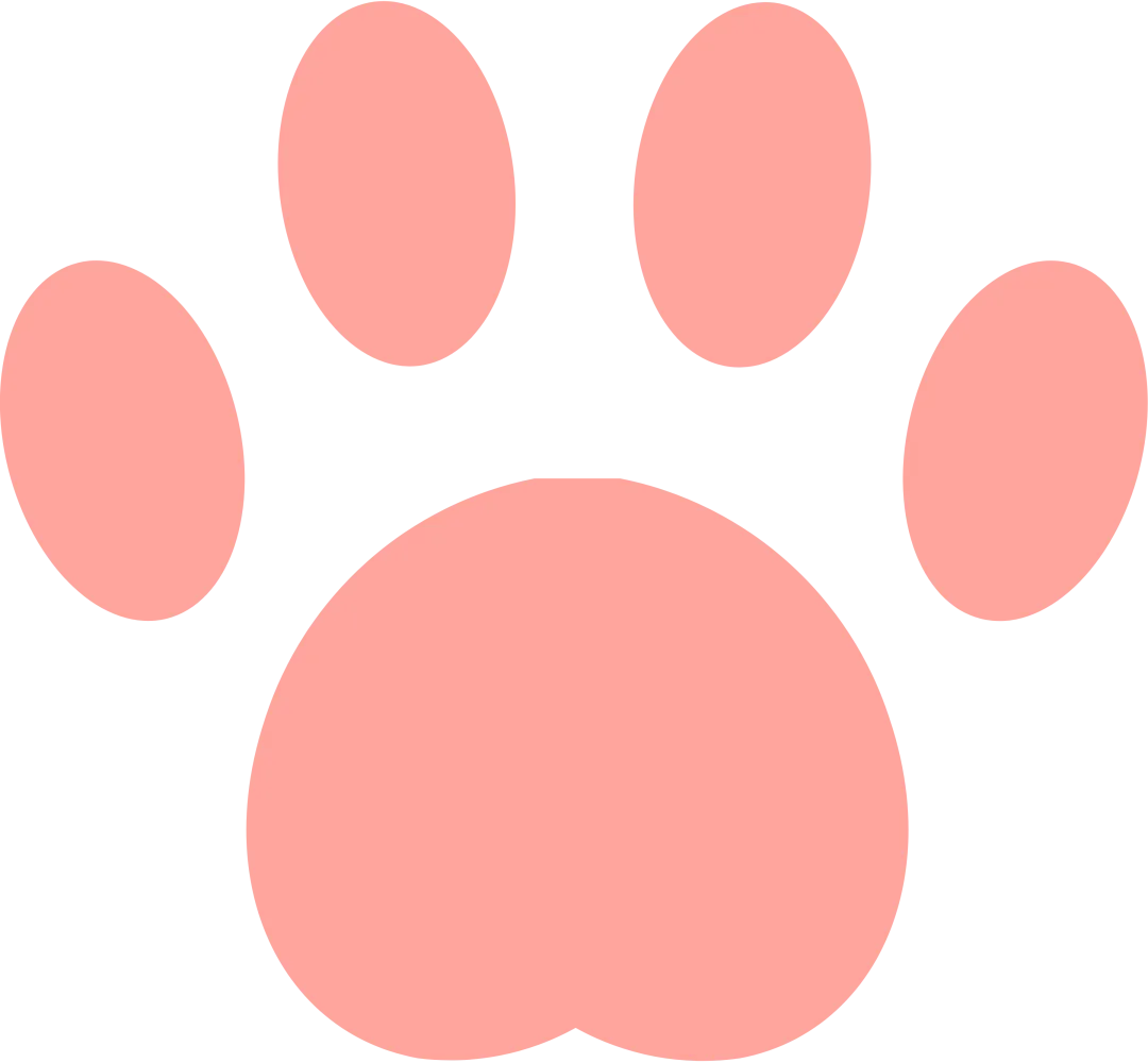 27考深大别乱学!近三年347真题已经把复习顺序写明白了 第47张